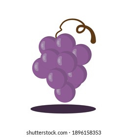 Montaje de uvas violetas frescas con hoja. Ilustración del vector sobre fondo blanco 