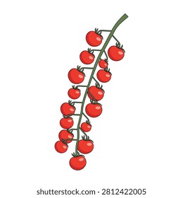 Bunch of fresh red cherry tomatoes hanging on green vine branch
