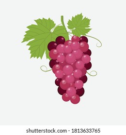 Bunch of fresh red grape icons on white background. vector illustration in flat style