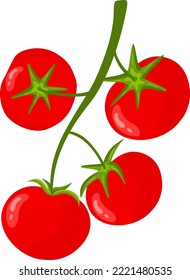Montón de tomates rojos frescos
