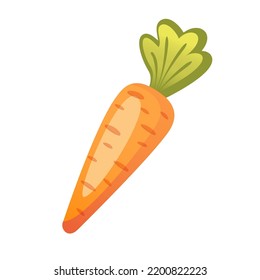 A bunch of fresh ripe organic carrots. Harvesting of vegetables at the farm. Carrot cut into round pieces. illustration in cartoon style on transparent background. Carrot logo