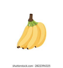 Bunch of Fresh Ripe Yellow Bananas Vector Illustration Isolated on a Plain White Background Graphic