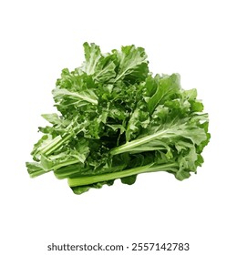 A bunch of fresh, vibrant green lettuce, ideal for salads and healthy dishes.