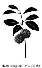 A bunch of friut with leaves silhouette vector illustration.