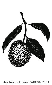 A bunch of friut with leaves silhouette vector illustration.