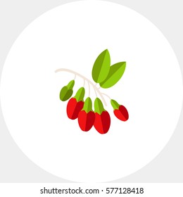 Bunch of Goji Berries Icon