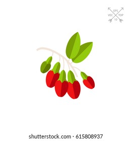 Bunch of Goji Berries Icon