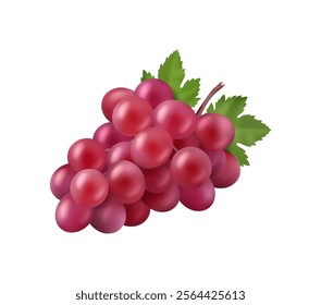 Bunch of grape berries with green leaves realistic vector illustration. Pink grapes healthy vegetarian food, organic winery product, exotic summer grape branch