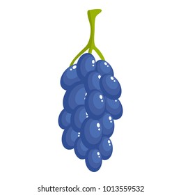 Bunch of grape icon. Cartoon illustration of bunch of grape vector icon for web