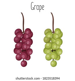 Bunch of grape isolated on white background, stock vector illustration.