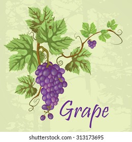 bunch of grapes