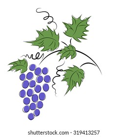 Bunch of grapes.