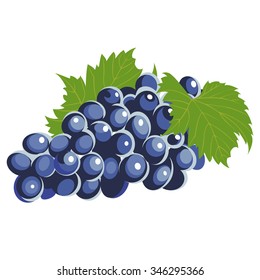 bunch of grapes
