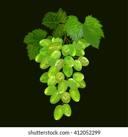 bunch of grapes