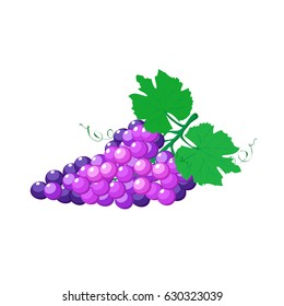 Bunch of grapes
