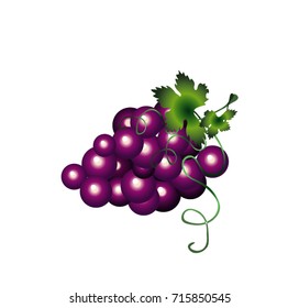 bunch of grapes