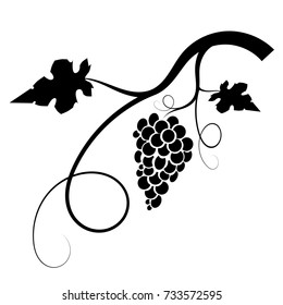 Bunch of grapes