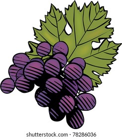 bunch of grapes