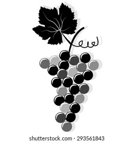 Bunch of grapes against white background