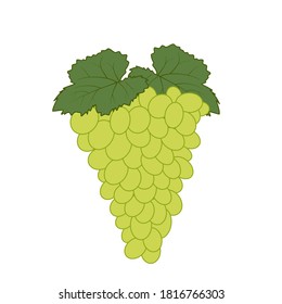 A bunch of grapes, beautiful