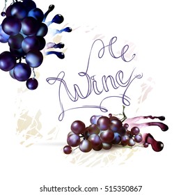 Bunch of Grapes berries vector