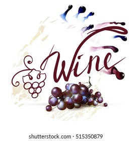 Bunch of Grapes berries vector