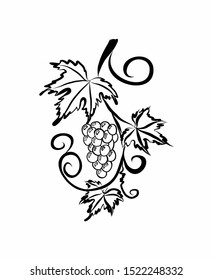 A bunch of grapes are black and white against an isolated background.