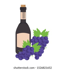 bunch of grapes and bottle of wine icon over white background, vector illustration