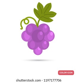 Bunch of grapes color flat icon