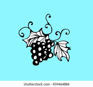 bunch of grapes drawn style graphics .