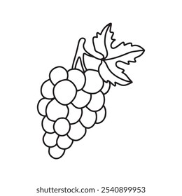 Manojo de uvas con zorros en estilo doodle. Aislado en el fondo blanco