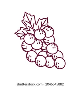 bunch grapes fruit icon isolated