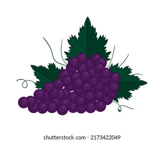 Icono de fruta de racimo aislado