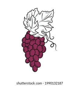 icono aislado de frutas de racimo