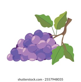 bunch grapes fruit isolated icon