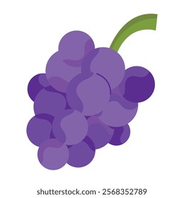 bunch grapes fruit isolated icon