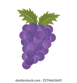 bunch grapes fruit isolated icon