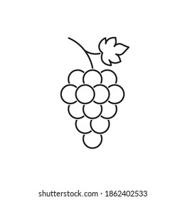 Bunch of grapes fruit with leaf vector icon