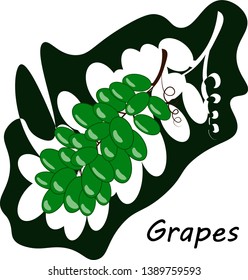 A bunch of grapes green. For sites about fruits, diets, tasty and healthy food, gardening and just decorating holidays and pechnikov, as well as fair. Vector illustration.