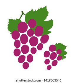 Bunch of grapes. Hand drawn doodle vector sketch. Sweet food