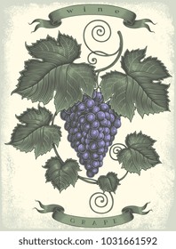 Montón de uvas. Grabado a mano. Ilustración vectorial. Aislado sobre fondo blanco. 8 EPS