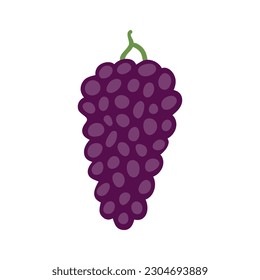 Bunch of grapes hand drawn illustration. Cartoon style flat design, isolated vector. Summer, autumn print element, farming, gardening, harvest, agriculture, healthy food, vegetarian diet, ingredient