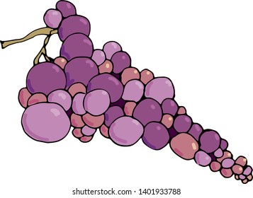 bunch grapes hand drawn sketch doodle in color. Design for Kids, Greeting Card, dishes, web banners, printed materials, textile, web sites, coloring book 