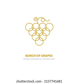 Bunch of grapes hand drawn vector illustration. Grape and vine drawing. Grape logo design. Part of set.