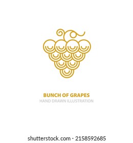 Bunch of grapes hand drawn vector illustration. Grape and vine drawing. Grape logo design. Part of set.