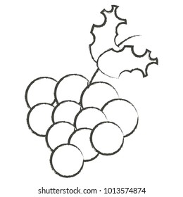 bunch of grapes icon 