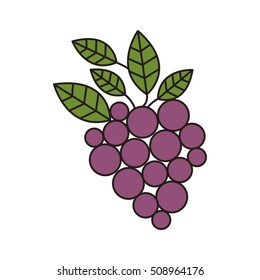 bunch of grapes icon