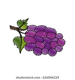 bunch of grapes icon