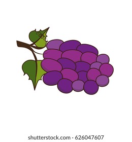 bunch of grapes icon