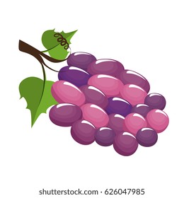 bunch of grapes icon